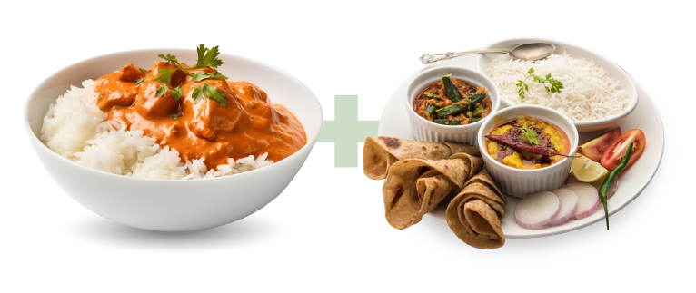 Kota Thali and Bowl